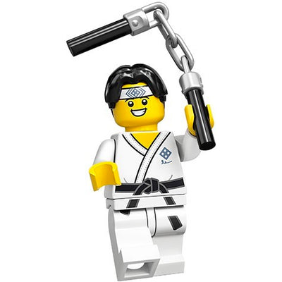 Martial Arts Boy – Series 20 Lego Minifigure